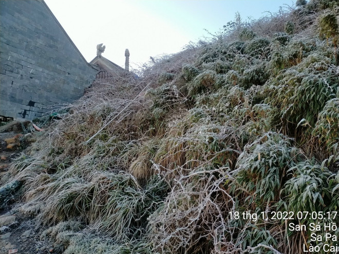 [Photo] Hình ảnh sương muối trắng xóa Sa Pa khi Lào Cai xuống 0 độ C ảnh 3