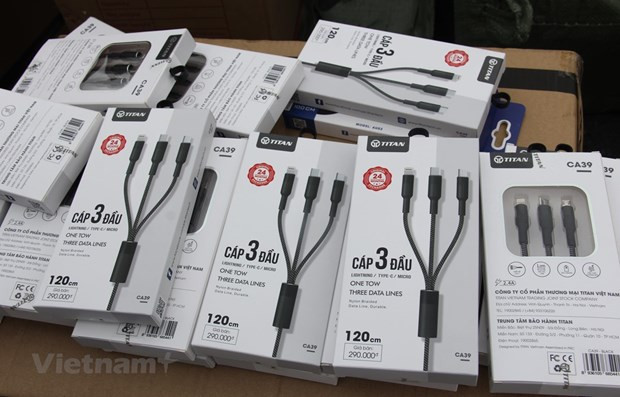 Việt Nam đang đối mặt với nhiều lỗ hổng trong gian lận xuất xứ ảnh 2