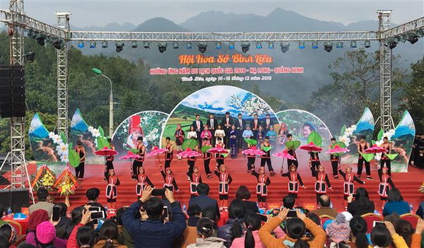 Quảng Ninh: Khai mạc hội hoa Sở với chủ đề Bình Liêu mùa hoa Sở ảnh 1