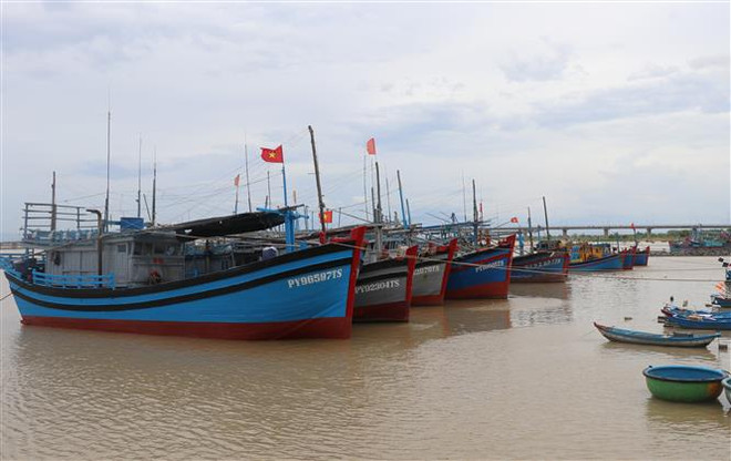 Bão số 5 mạnh, di chuyển nhanh, ảnh hưởng trực tiếp tới Trung Bộ ảnh 2