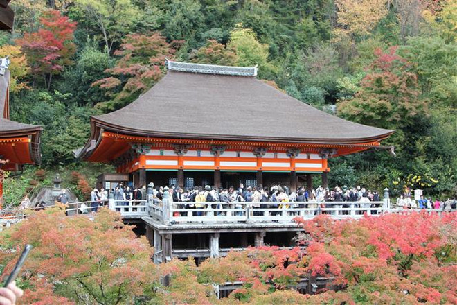 Du khách quốc tế đến Nhật Bản đã tăng mạnh trong năm 2022 ảnh 1