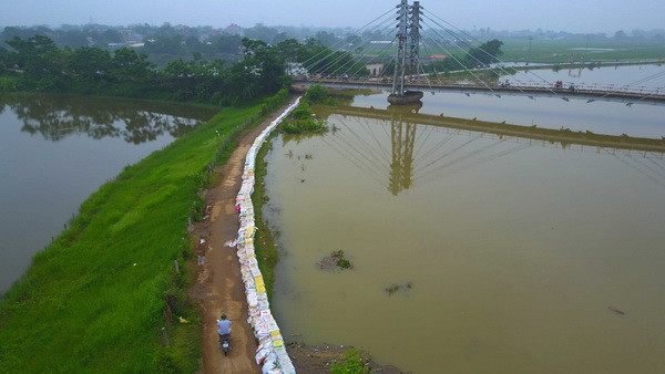 Hà Nội: Mực nước sông Bùi đã ổn định nhưng xuống rất chậm ảnh 1