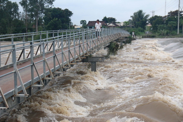Theo dõi chặt chẽ diễn biến mưa, lũ khu vực Đồng bằng sông Cửu Long ảnh 1
