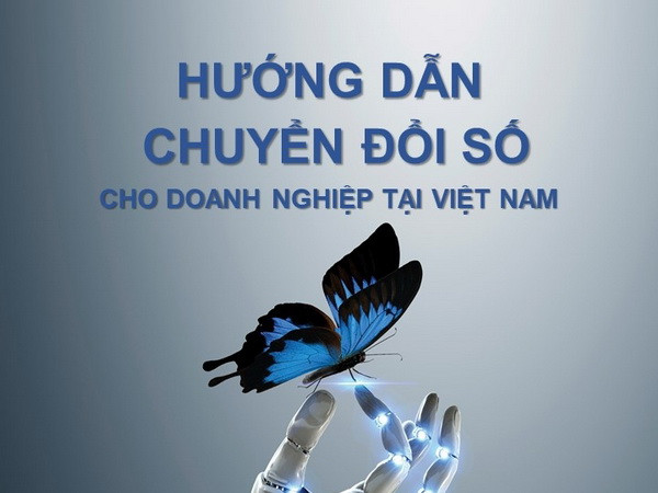 Lần đầu công bố tài liệu hướng dẫn chuyển đổi số cho doanh nghiệp ảnh 1