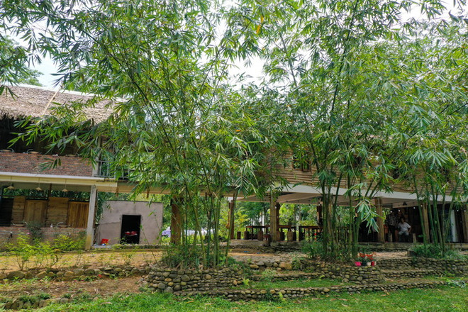 Đà Nẵng: Xây hạ tầng giao thông hỗ trợ phát triển du lịch cộng đồng ảnh 1