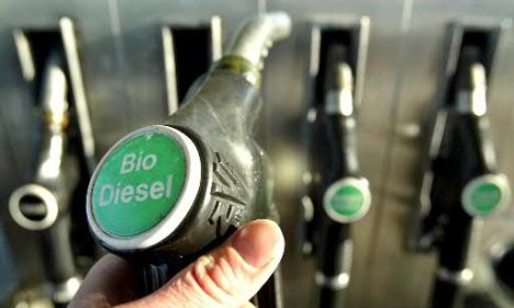 Cuba bắt đầu thí điểm sản xuất diesel sinh học từ cây cọc rào ảnh 1