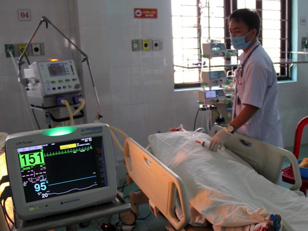 (Ảnh minh họa: Hưng Thịnh/TTXVN) Đắk Nông: Lật xe công nông chở gỗ, khiến ba người thương vong ảnh 1