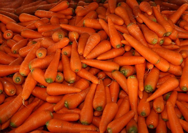 Thành phố Hồ Chí Minh Thu giữ hơn 6 tấn cà rốt ngâm hóa chất ảnh 1