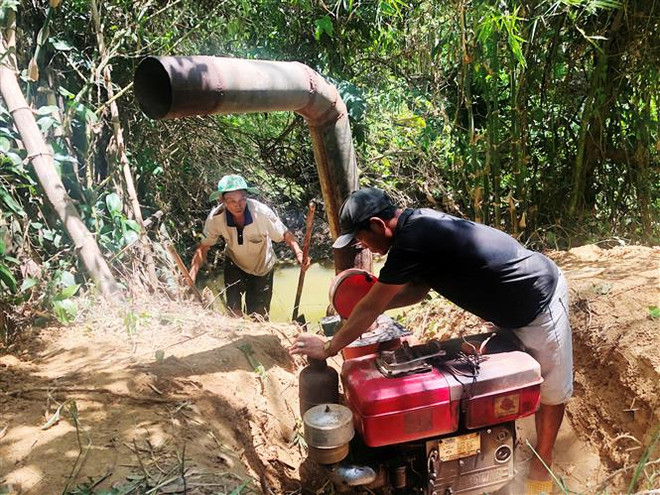 Ưu tiên cấp điện cho người dân miền Tây ứng phó với hạn, mặn ảnh 1