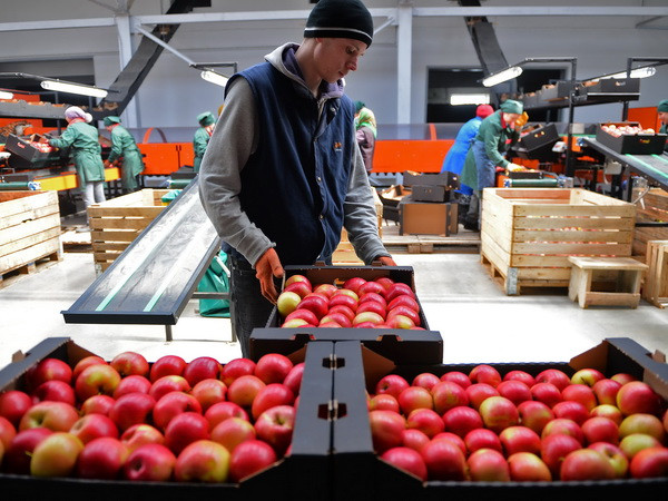 Liên minh Kinh tế Á-Âu thúc đẩy các dự án kinh tế thương mại ảnh 1