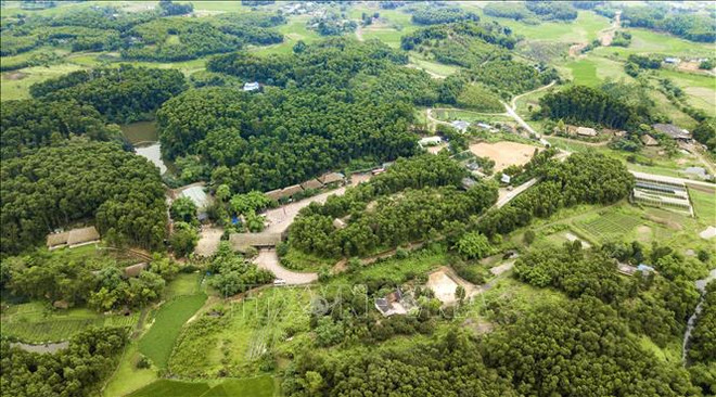 Khu bảo tồn làng nhà sàn dân tộc sinh thái Thái Hải với diện tích khoảng 70ha là nơi quy tụ và gìn giữ của hơn 30 ngôi nhà sàn có tuổi đời ngót nghét trăm năm. (Nguồn: TTXVN) Thái Nguyên: Du lịch cộng đồng gắn với nông nghiệp nông thôn bền vững ảnh 1