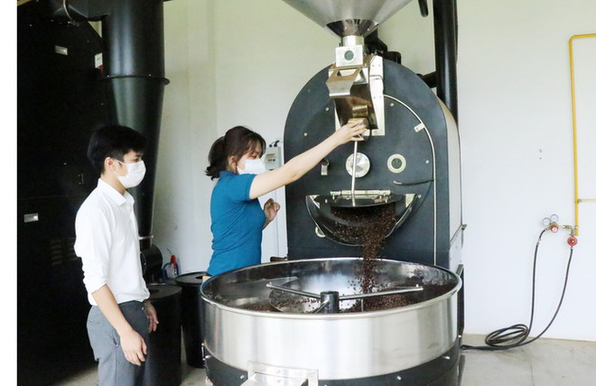 Đắk Lắk: Doanh nghiệp tìm cách tiết giảm chi phí, phục hồi sản xuất ảnh 1