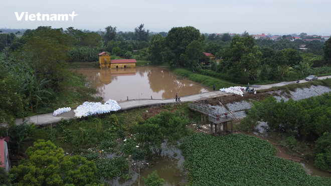 Nguy cơ vỡ đê sông Đáy tại huyện Mỹ Đức do mưa gây ngập úng kéo dài ảnh 1