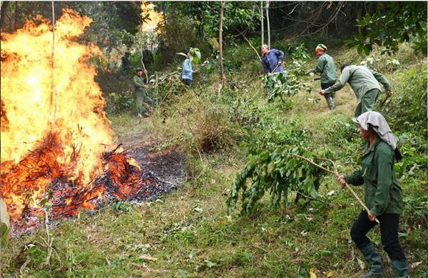 Nắng nóng tiếp tục mở rộng, nguy cơ cao về cháy nổ và cháy rừng ảnh 1
