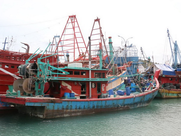 Số ngư dân Việt Nam bị phía Indonesia bắt tăng đột biến ảnh 2