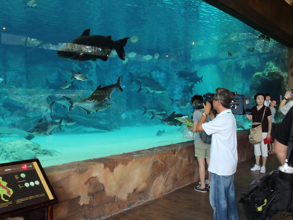 Singapore khai trương công viên sông lớn nhất châu Á ảnh 1