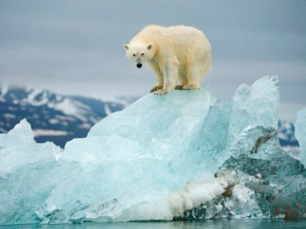 Tốc độ Trái Đất ấm lên chậm lại có thể chỉ là tạm thời ảnh 1