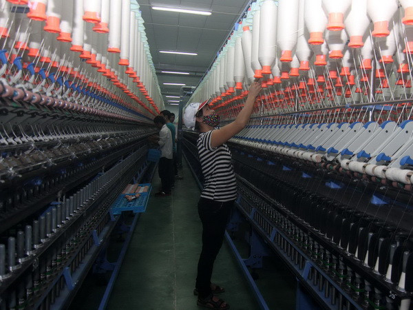 Việt Nam chưa đủ sẵn sàng cho tiến trình hội nhập kinh tế thế giới ảnh 1