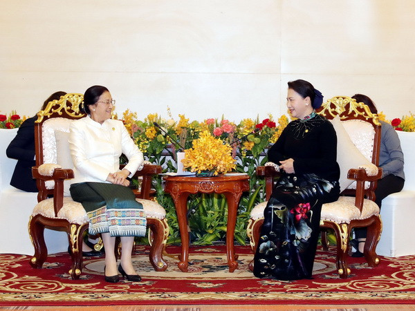 Chủ tịch Quốc hội Nguyễn Thị Kim Ngân hội kiến Chủ tịch Quốc hội Lào ảnh 2