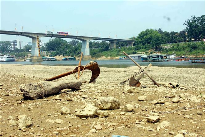 Mực nước sông Lô xuống mức thấp kỷ lục chưa từng có ảnh 1