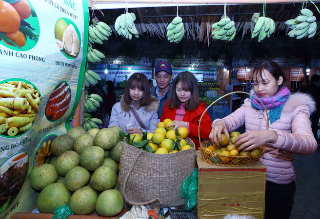 Khai mạc hội chợ đặc sản vùng miền Việt Nam tại thủ đô Hà Nội ảnh 3