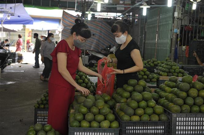 Hoa quả tươi đầu mùa giá rẻ nhưng lượng tiêu thụ hạn chế ảnh 1