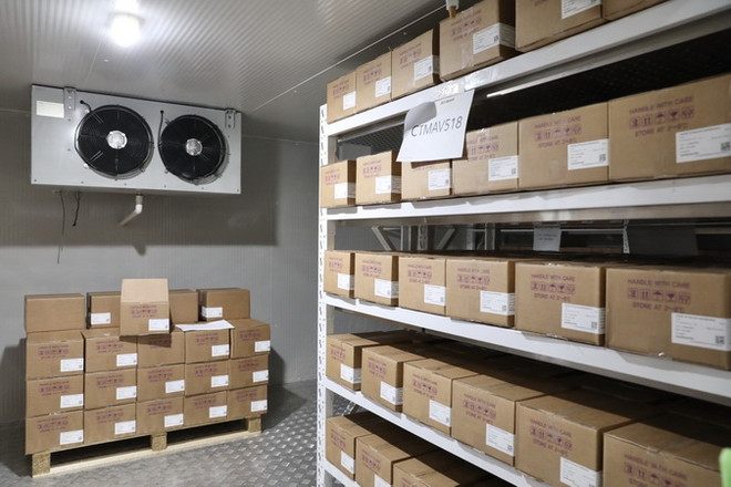 110.000 liều vaccine COVID-19 của COVAX đợt 2 được phân bổ ra sao? ảnh 1