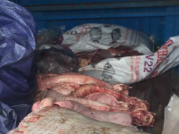 Hưng Yên tiêu hủy 1,5 tấn lòng lợn hôi thối, không nguồn gốc ảnh 1