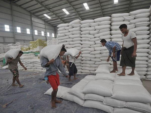 Myanmar tạm dừng xuất khẩu gạo đến trung tuần tháng Chín ảnh 1