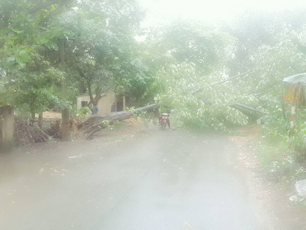 Áp thấp nhiệt đới gây ra mưa rào và dông vài nơi tại Hà Nội ảnh 1