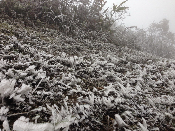 Băng giá diện rộng liên tiếp xuất hiện tại Mù Cang Chải ảnh 1