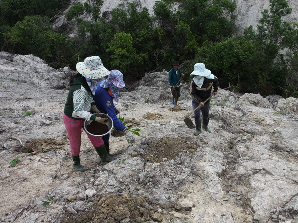 Bảo vệ rừng - giải pháp ứng phó hiệu quả với biến đổi khí hậu ảnh 1
