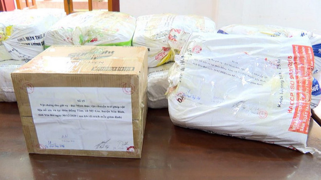 Yên Bái: Điều tra vận chuyển, sử dụng vật liệu nổ khai thác tài nguyên ảnh 1