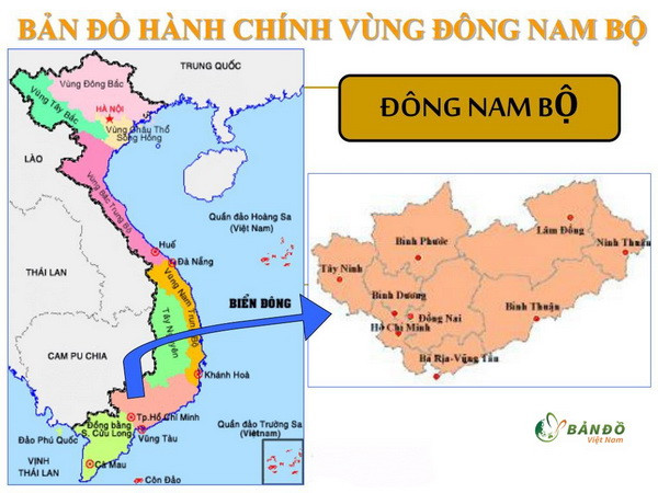 Vùng Đông Nam Bộ đi đầu trong chuyển đổi mô hình tăng trưởng ảnh 1
