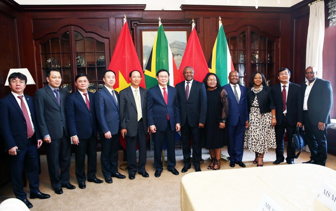 Phó Thủ tướng Vương Đình Huệ thăm làm việc Cộng hòa Nam Phi ảnh 1