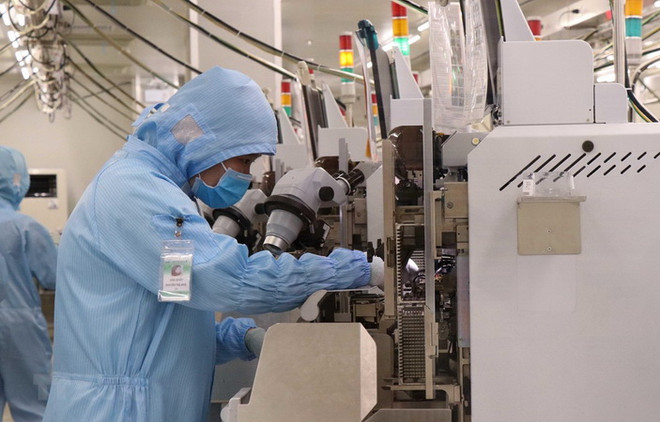 Kim ngạch xuất khẩu của Tiền Giang đạt 1,6 tỷ USD, tăng 20,3% ảnh 1