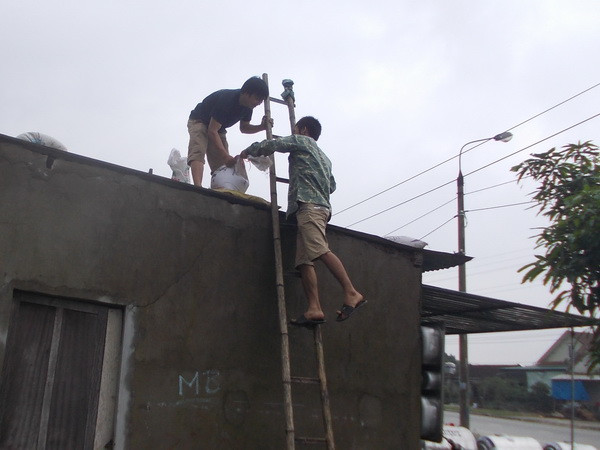 Hơn 20 người thương vong khi tham gia phòng chống bão ảnh 1