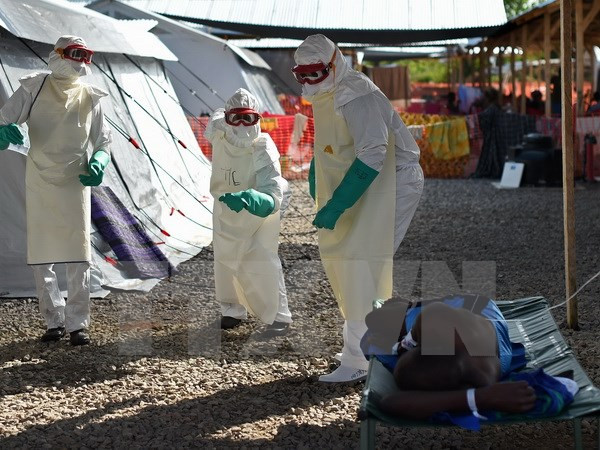Nhân viên y tế chăm sóc bệnh nhân nhiễm virus Ebola tại một trung tâm y tế ở , Kenema, Sierra Leone. (Nguồn: AFP/TTXVN) Sự kiện quốc tế tuần 11-17/1: Rúng động vì các vụ tấn công khủng bố ảnh 5