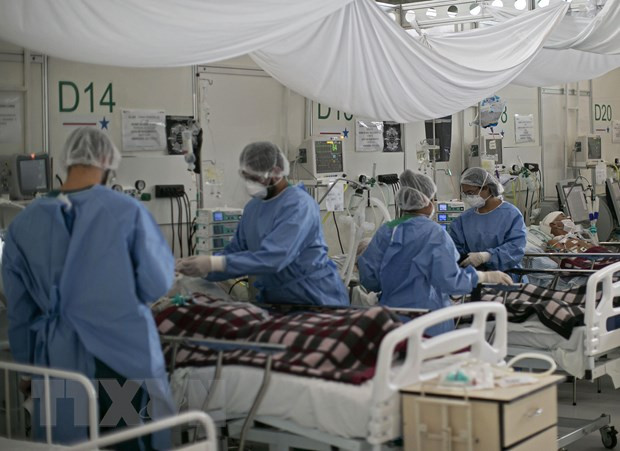 Brazil đối mặt với viễn cảnh đen tối trước thảm kịch COVID-19 ảnh 2