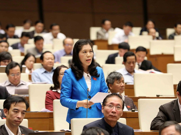 Thực hiện lồng ghép giới trong lập kế hoạch phát triển kinh tế-xã hội ảnh 2