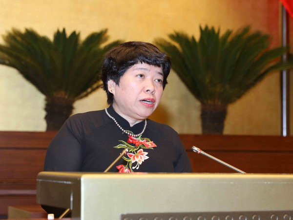 Thực hiện lồng ghép giới trong lập kế hoạch phát triển kinh tế-xã hội ảnh 3