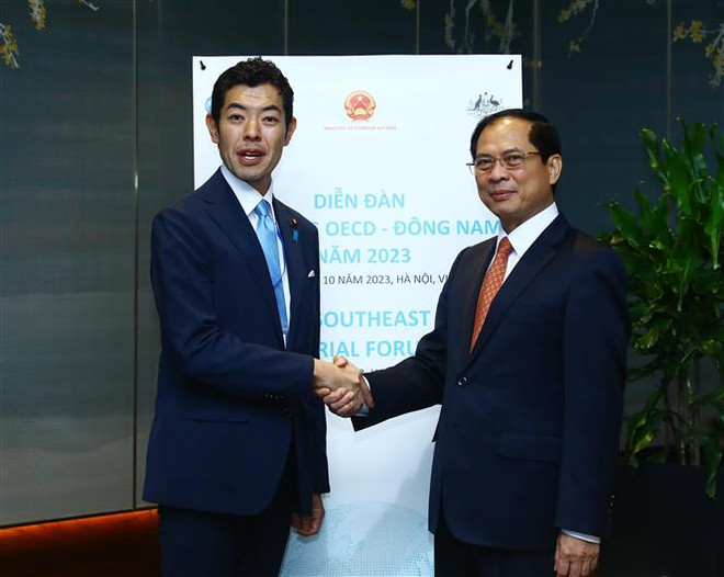 Quan hệ Đối tác Chiến lược Việt Nam-Nhật Bản phát triển vượt bậc ảnh 1