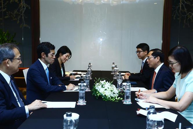 Quan hệ Đối tác Chiến lược Việt Nam-Nhật Bản phát triển vượt bậc ảnh 2