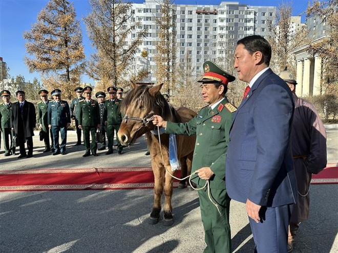 Phát triển hợp tác quốc phòng Việt Nam-Mông Cổ ngày càng hiệu quả ảnh 4