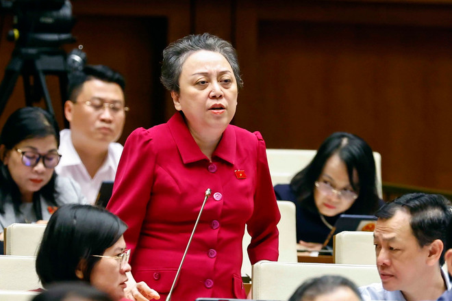 ttxvn_dai bieu quoc hoi (2).jpg