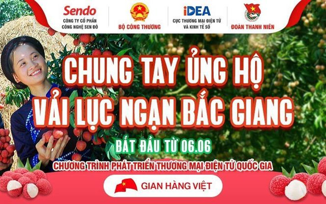 Tiêu thụ sản phẩm vùng đồng bào thiểu số qua thương mại điện tử ảnh 2