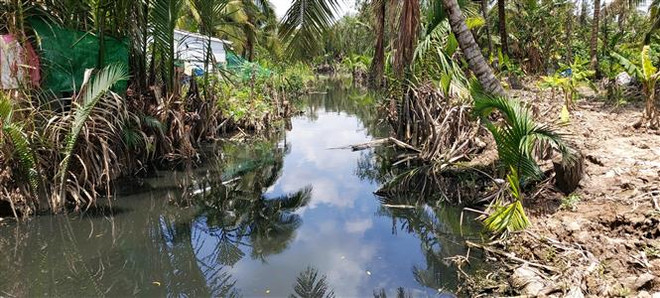 Bến Tre sẽ triển khai nạo vét, giải quyết ô nhiễm ở kênh Xáng ảnh 1
