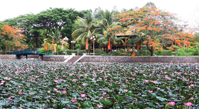 Nhà sàn, ao cá Bác Hồ tại Khu di tích Nguyễn Sinh Sắc, thành phố Cao Lãnh, tỉnh Đồng Tháp. (Ảnh: Nguyễn Văn Trí/TTXVN) ttxvn_nha san Bac o Dong Thap.jpg