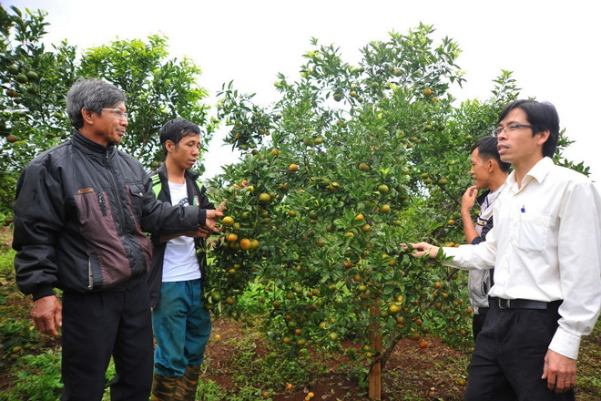 Gia Lai: Cuộc sống mới trên vùng căn cứ cách mạng KBang ảnh 1