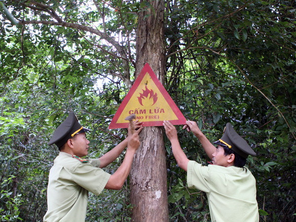 Phú Quốc: Hơn 4.000ha rừng nguy cơ cháy bất kỳ lúc nào ảnh 1